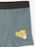 Pack of 5 Disney® Lion King Boxers lichen - vertbaudet enfant 