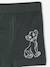 Lot de 5 boxers Disney Le Roi Lion lichen - vertbaudet enfant 