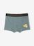 Lot de 5 boxers Disney Le Roi Lion lichen - vertbaudet enfant 