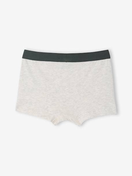 Lot de 5 boxers Disney Le Roi Lion lichen - vertbaudet enfant 