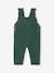 Corduroy Dungarees with Ruffles for Babies green+PURPLE DARK SOLID - vertbaudet enfant 