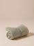 Nomadic rug/blanket for FAMILY pets printed brown+striped green - vertbaudet enfant 