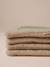 Nomadic rug/blanket for FAMILY pets printed brown+striped green - vertbaudet enfant 