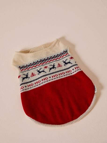 Christmas jumper for dogs FAMILY red - vertbaudet enfant 