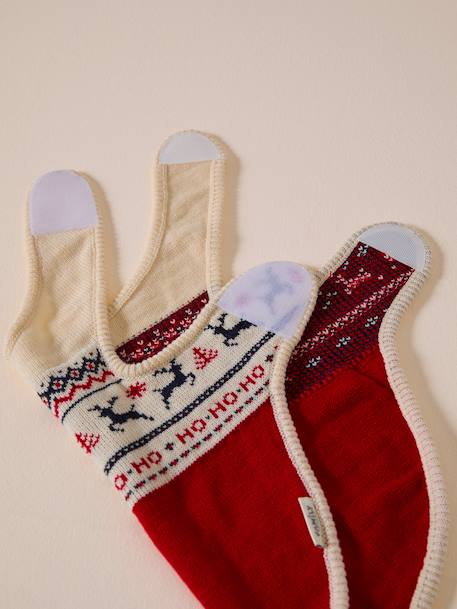 Christmas jumper for dogs FAMILY red - vertbaudet enfant 