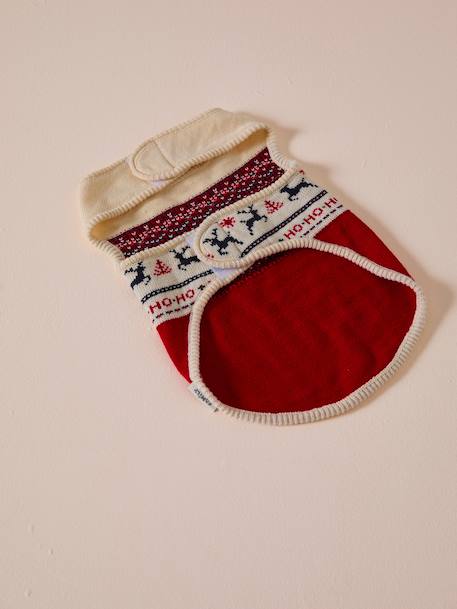 Christmas jumper for dogs FAMILY red - vertbaudet enfant 
