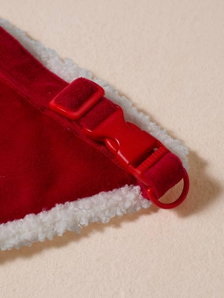 Bandana collar + Christmas beanie for dog FAMILY red - vertbaudet enfant 