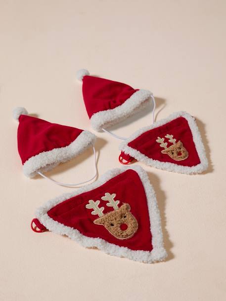 Bandana collar + Christmas beanie for dog FAMILY red - vertbaudet enfant 