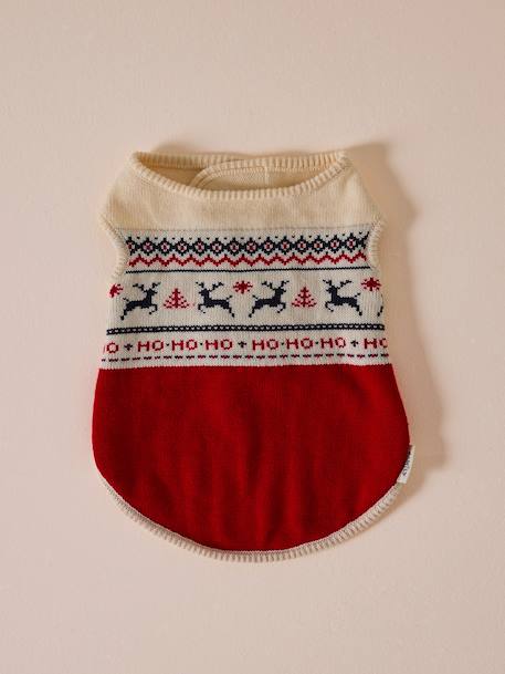 Christmas jumper for dogs FAMILY red - vertbaudet enfant 