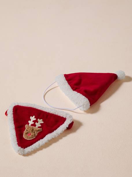 Bandana collar + Christmas beanie for dog FAMILY red - vertbaudet enfant 
