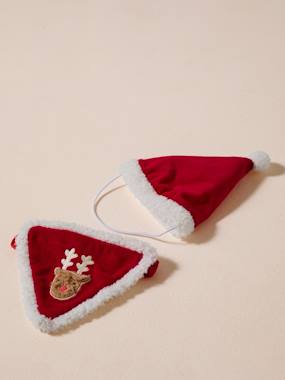 Linge de lit & Déco-Décoration-Animaux de compagnie-Collier bandana + bonnet de Noël pour chien