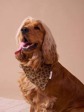 -Collier bandana pour chien