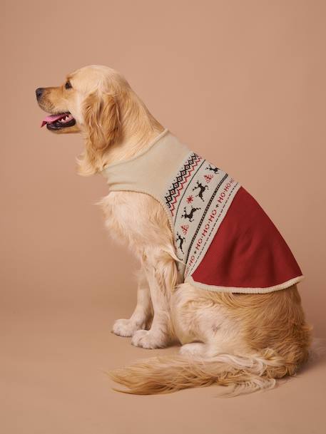 Christmas jumper for dogs FAMILY red - vertbaudet enfant 