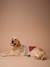 Christmas jumper for dogs FAMILY red - vertbaudet enfant 