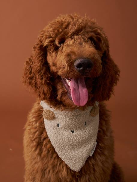 Dog bandana collar FAMILY ecru - vertbaudet enfant 