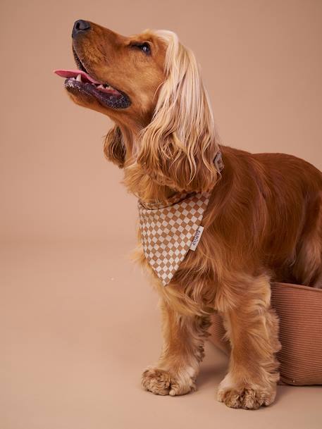 Checkered bandana collar for dogs FAMILY chequered brown - vertbaudet enfant 