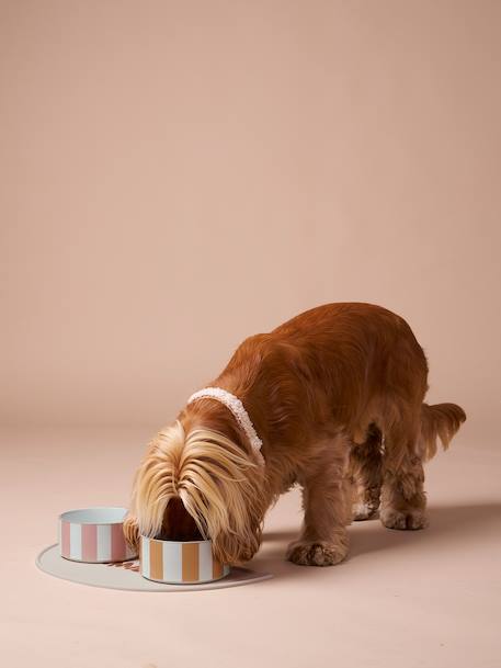 Gamelle en céramique pour chien blanc imprimé+camel+rayé rose - vertbaudet enfant 