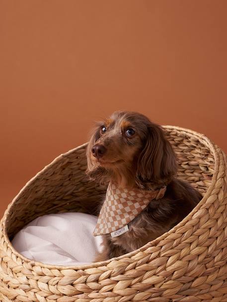 Checkered bandana collar for dogs FAMILY chequered brown - vertbaudet enfant 