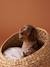 Checkered bandana collar for dogs FAMILY chequered brown - vertbaudet enfant 