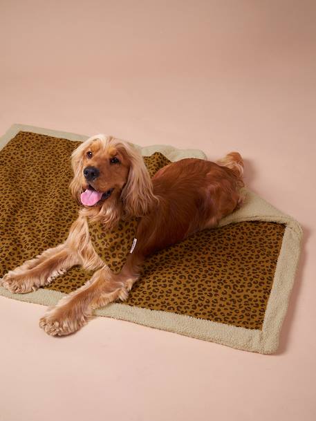 Nomadic rug/blanket for FAMILY pets printed brown+striped green - vertbaudet enfant 