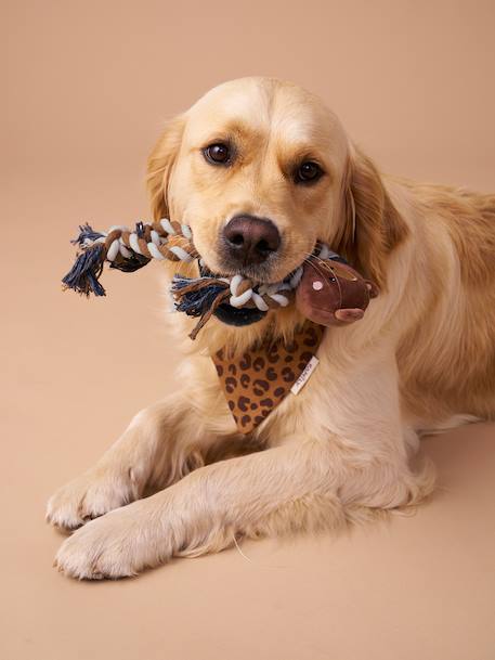 Rope chew toy for dogs brown - vertbaudet enfant 