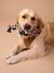 Rope chew toy for dogs brown - vertbaudet enfant 