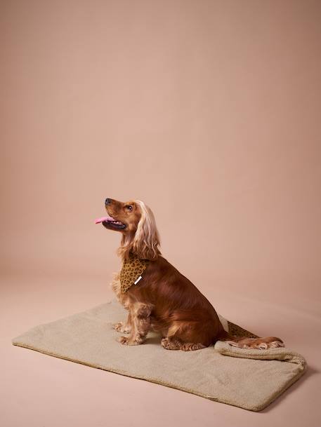 Nomadic rug/blanket for FAMILY pets printed brown+striped green - vertbaudet enfant 