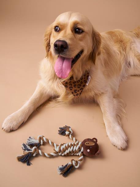Rope chew toy for dogs brown - vertbaudet enfant 