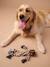Rope chew toy for dogs brown - vertbaudet enfant 