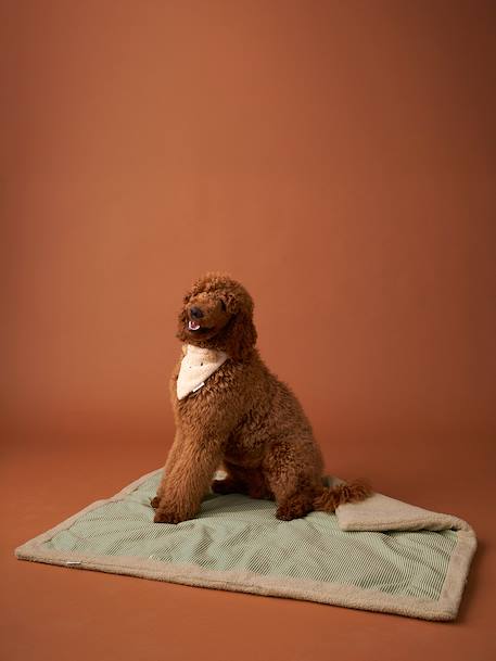 Nomadic rug/blanket for FAMILY pets printed brown+striped green - vertbaudet enfant 