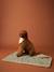 Nomadic rug/blanket for FAMILY pets printed brown+striped green - vertbaudet enfant 
