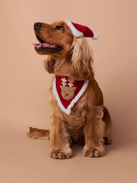 Bandana collar + Christmas beanie for dog FAMILY red - vertbaudet enfant 