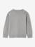 Round Neckline Jumper with Dog Motif marl grey - vertbaudet enfant 
