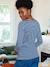 Long-Sleeved Maternity Top navy blue+White Stripes - vertbaudet enfant 