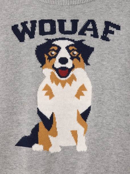 Round Neckline Jumper with Dog Motif marl grey - vertbaudet enfant 