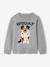 Pull Col Rond Chien gris chiné - vertbaudet enfant 