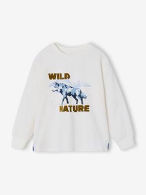 Tee-shirt manches longues garçon - vertbaudet enfant Garçon-Tee-shirt manches longues garçon