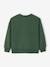 Cotton Pok‚mon Christmas sweatshirt for boys fir green - vertbaudet enfant 
