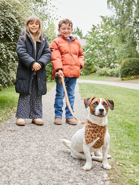Fleece-Lined Lightweight Jacket, with Mittens or Gloves amber+fir green - vertbaudet enfant 