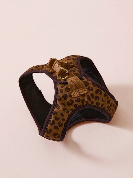 Dog Walking Set: Harness + Lead + Collar coffee - vertbaudet enfant 