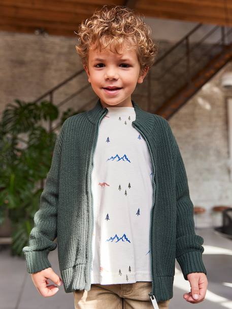 High Neck Long-Sleeved Cardigan for Boys green+navy blue - vertbaudet enfant 