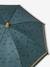 Umbrella with Dinosaur Motifs for Boys fir green+navy blue - vertbaudet enfant 