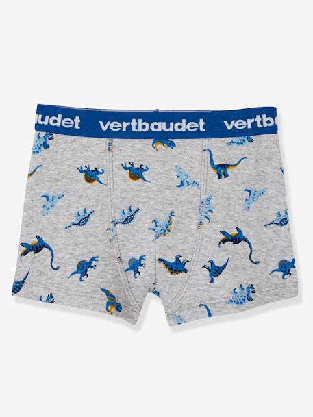 Pack of 3 Boxer Shorts for Boys, Dinosaur Blue/Multi - vertbaudet enfant 